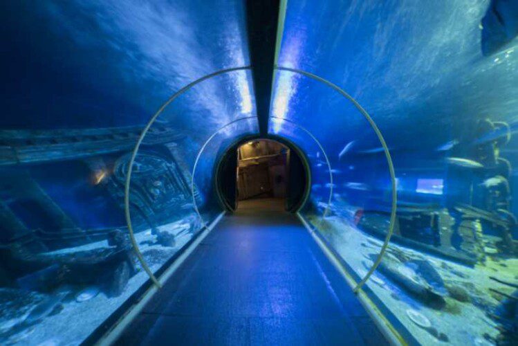 Aquarium Sea Life Paris Val d'Europe - RentAway