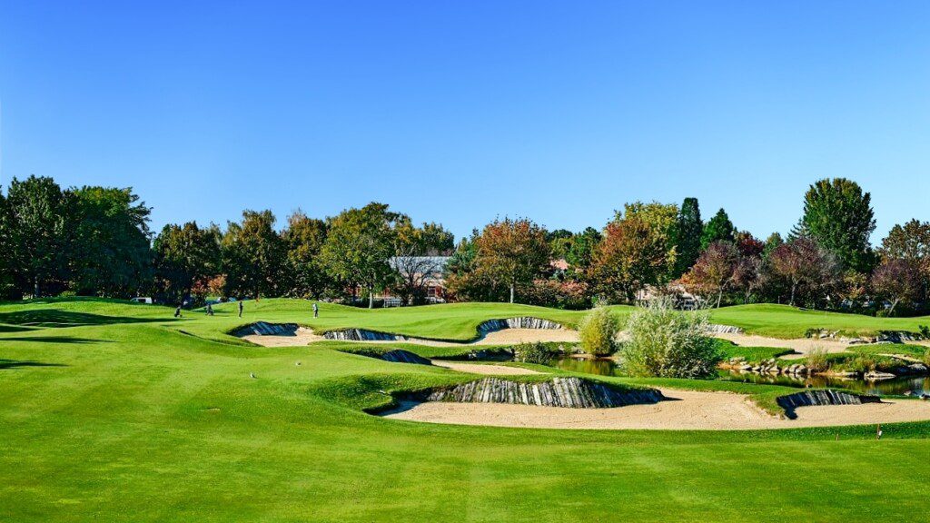 Disneyland Golf