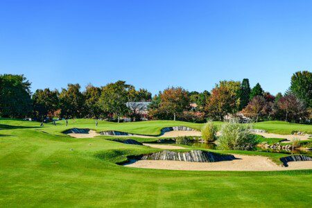 Disneyland Golf